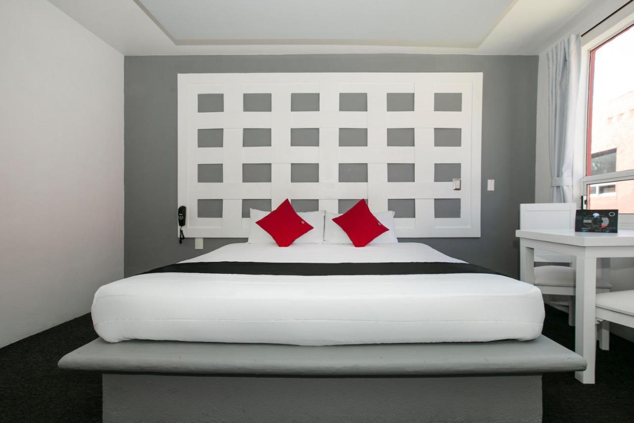 Hotel Euro Confort,Pachuca Exteriér fotografie