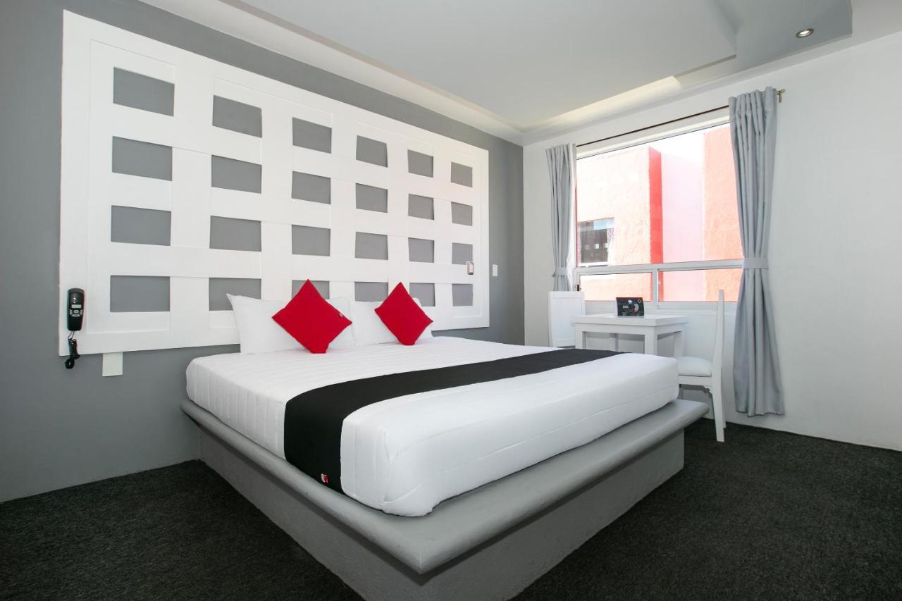 Hotel Euro Confort,Pachuca Exteriér fotografie